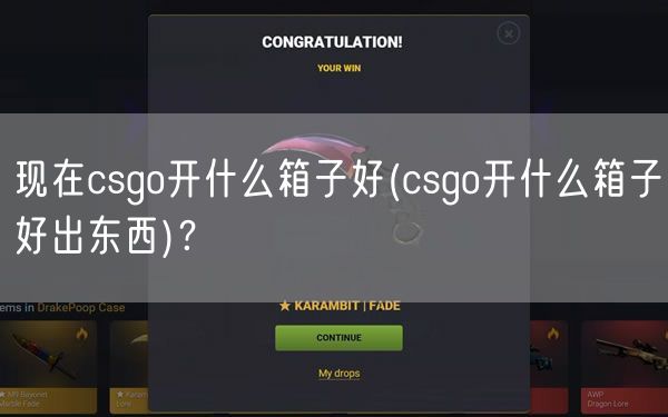 现在csgo开什么箱子好(csgo开什么箱子好出东西)?