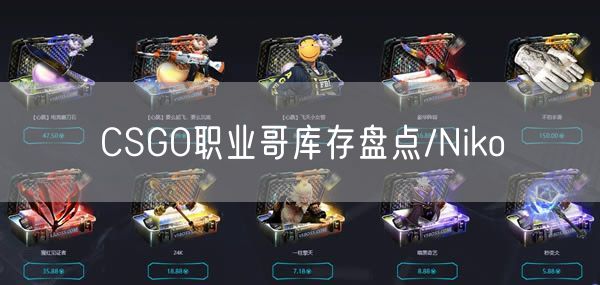 CSGO职业哥库存盘点/Niko
