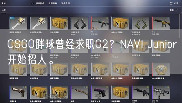 CSGO胖球曾经求职G2？NAVI Junior开始招人。
