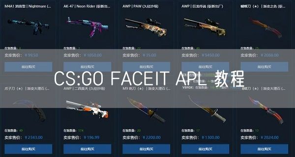 CS:GO FACEIT APL 教程