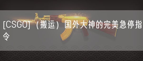 CSGO急停指令(CSGO国外大神的完美急停指令)