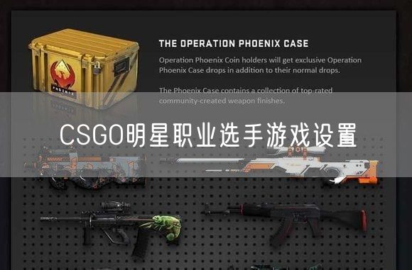 CSGO明星职业选手游戏设置