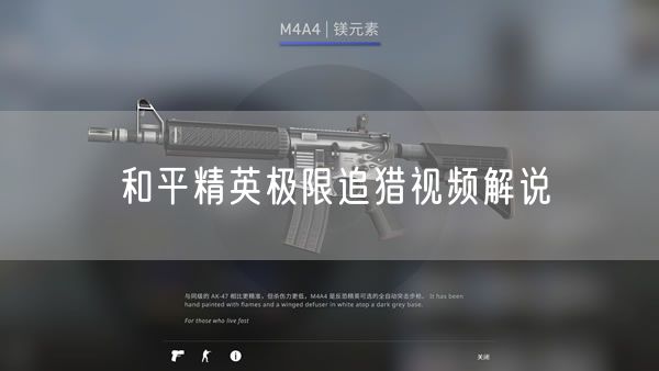 和平精英极限追猎视频解说