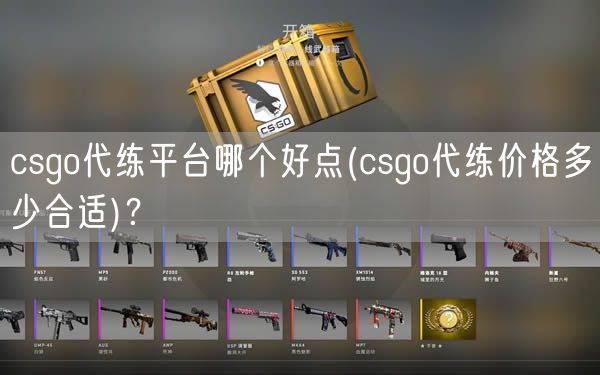 csgo代练平台哪个好点(csgo代练价格多少合适)？
