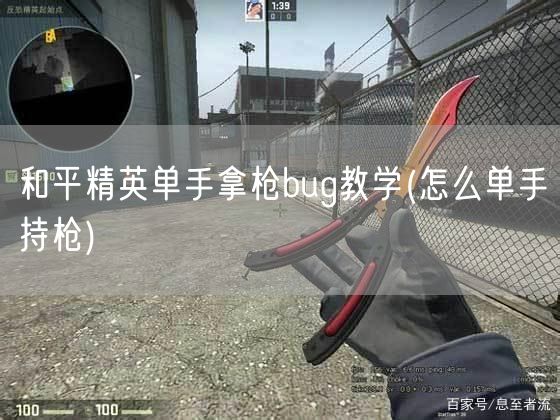 和平精英单手拿枪bug教学(怎么单手持枪)
