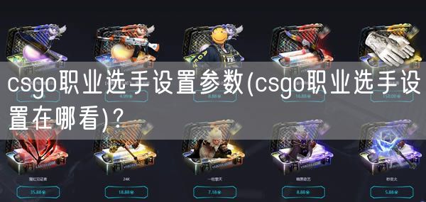 csgo职业选手设置参数(csgo职业选手设置在哪看)？