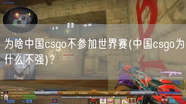 为啥中国csgo不参加世界赛(中国csgo为什么不强)？