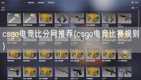 csgo电竞比分网推荐(csgo电竞比赛规则)