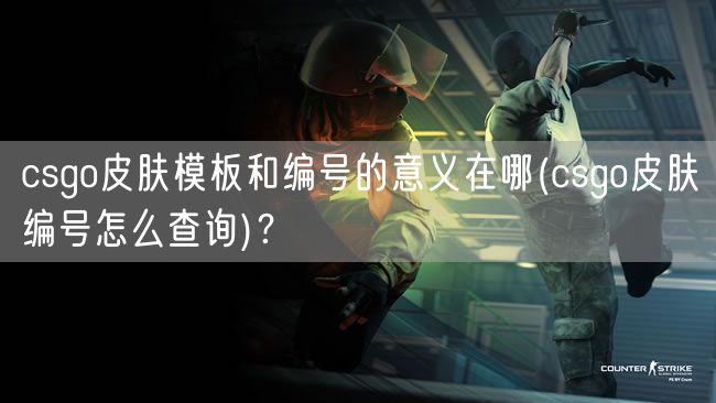 csgo皮肤模板和编号的意义在哪(csgo皮肤编号怎么查询)？