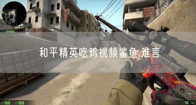 和平精英吃鸡视频鲨鱼,难言