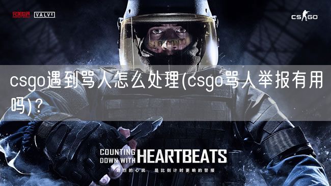 csgo遇到骂人怎么处理(csgo骂人举报有用吗)？