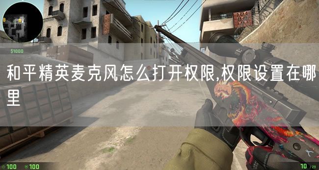 和平精英麦克风怎么打开权限,权限设置在哪里