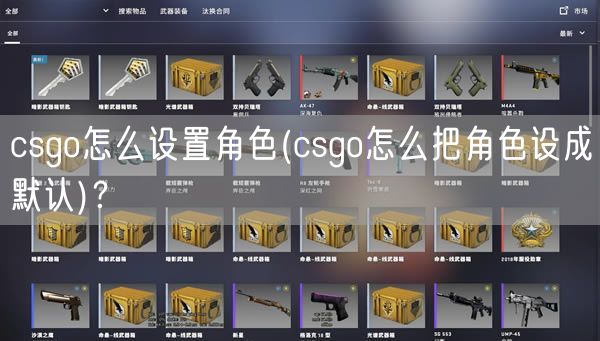 csgo怎么设置角色(csgo怎么把角色设成默认)？