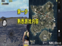 和平精英菜鸟怎么玩(菜鸟如何变成大神)