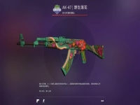 csgo野荷什么箱子(csgo野荷还能开出来吗)?