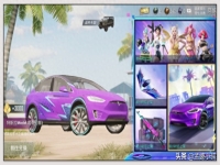  和平精英特斯拉可以贴什么车(和平精英特斯拉贴膜视频)