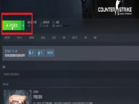 csgo国服启动项为什么玩不了组队
