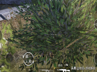 和平精英安全区怎么找,安全区刷新规律