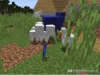 我的世界青金石有什么用，我的世界青金石在几层？