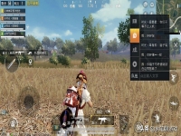  和平精英怎么锁门，和平精英锁门怎么开