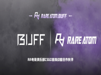 csgo网易buff库存截图，网易buff豪华库存图片 