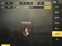 和平精英没玩过为什么显示玩过了(怎么有战绩)