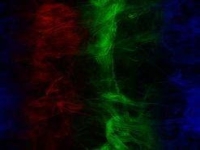 csgo多普勒图案模板(图案模板编号哪个最粉)?