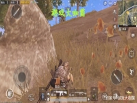 和平精英找不到敌人在哪个方向打我怎么办,怎么回事