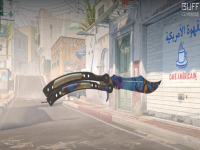 csgo淬火蝴蝶刀开箱在哪个箱子开，csgo淬火蝴蝶刀多少钱？